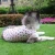 Import Pet Clothes Dog T Shirts Puppy Apparel Cotton Dog Summer Vest For Dogs And Cats from China