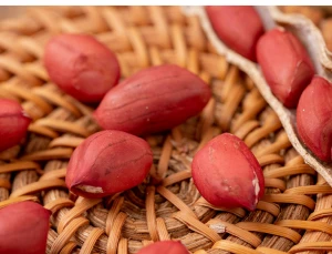 Pink Oval Large Plump High Fat Raw Peanuts Groundnuts Kernel