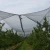Import Plastic Anti Hail Protection Net for Agriculture from China