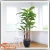 Import plastic bonsai fiberglass bonsai large bonsai tree designer home decor from China