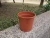 Plastic garden plant bonsai 1 gallon nursery pots