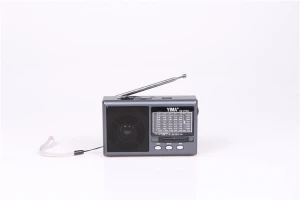 Popular hot selling professional radio black radio equipment car radio player