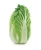Import Premium quality Broccoli/PEPPER/ SCALLION/OKRA CHEAPER PRICES from Thailand