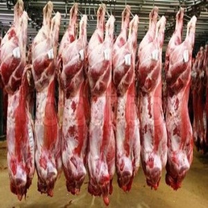 Premium Quality Halal Fresh / Chilled / Frozen Goat Carcass, Sheep, Mutton, Beef, Bufallo and Carcasses For Sale