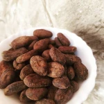 Premium Quality Wholesale Dried Cocoa Beans