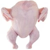 Processed Halal Frozen Whole Chicken