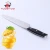 Import Professional  8 Inch German Steel Chef Knife With ABS Handle OEM Available from China