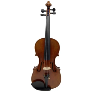 Professional Advanced Handmade Master Violins