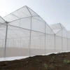 Quality Assurance Greenhouse Project Multi-Span Plastic Film Greenhouse Commercial Green House