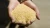 Import QUALITY NON-GMO corn meal gluten for free samples from South Africa