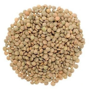 Quality Whole and Split Red Lentils