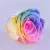 Import Rainbow Color Preserved Flower Birthday Gift Preserved Rose for Party Decoration from China