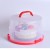 Import Rotatable Food Carrier Double layer Cake carrier Carry Round 12inch Cake Carrier from China