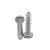 Import Round head cross recessed SS self-tapping screw from China