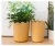 Import Round plastic garden pot with thickened root control and green plant planter pot from China