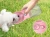 Import RTSZO-048  Portable Travel Outdoor Pet Water Dispenser Feeder Dog Water Bottle from China