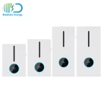 Rushan Good Quality Wall Mounted ESS LiFePO4 Battery Pack Household All In One Energy Storage System