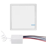 RWS-001 Remote control Wifi Light Wall Switch Dampproof on/off Wireless Switch