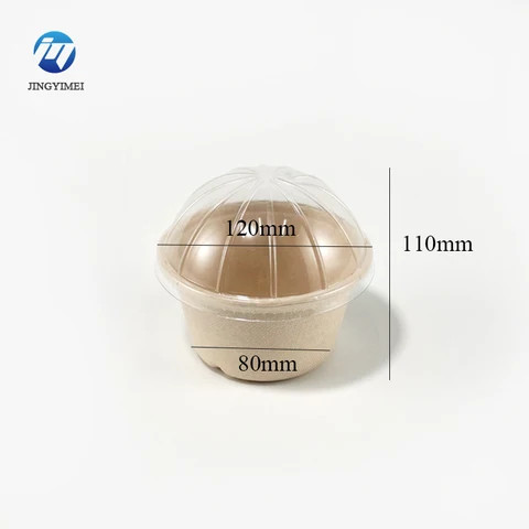 Buy Safe Eco Friendly Sugarcane Bowl Small Hexagonal Sugarcane Bagasse ...