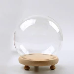 Safe transportation wholesale custom transparent Tabletop Display Orqihod Round Glass Cloche Ball Jar Dome with Wooden Base