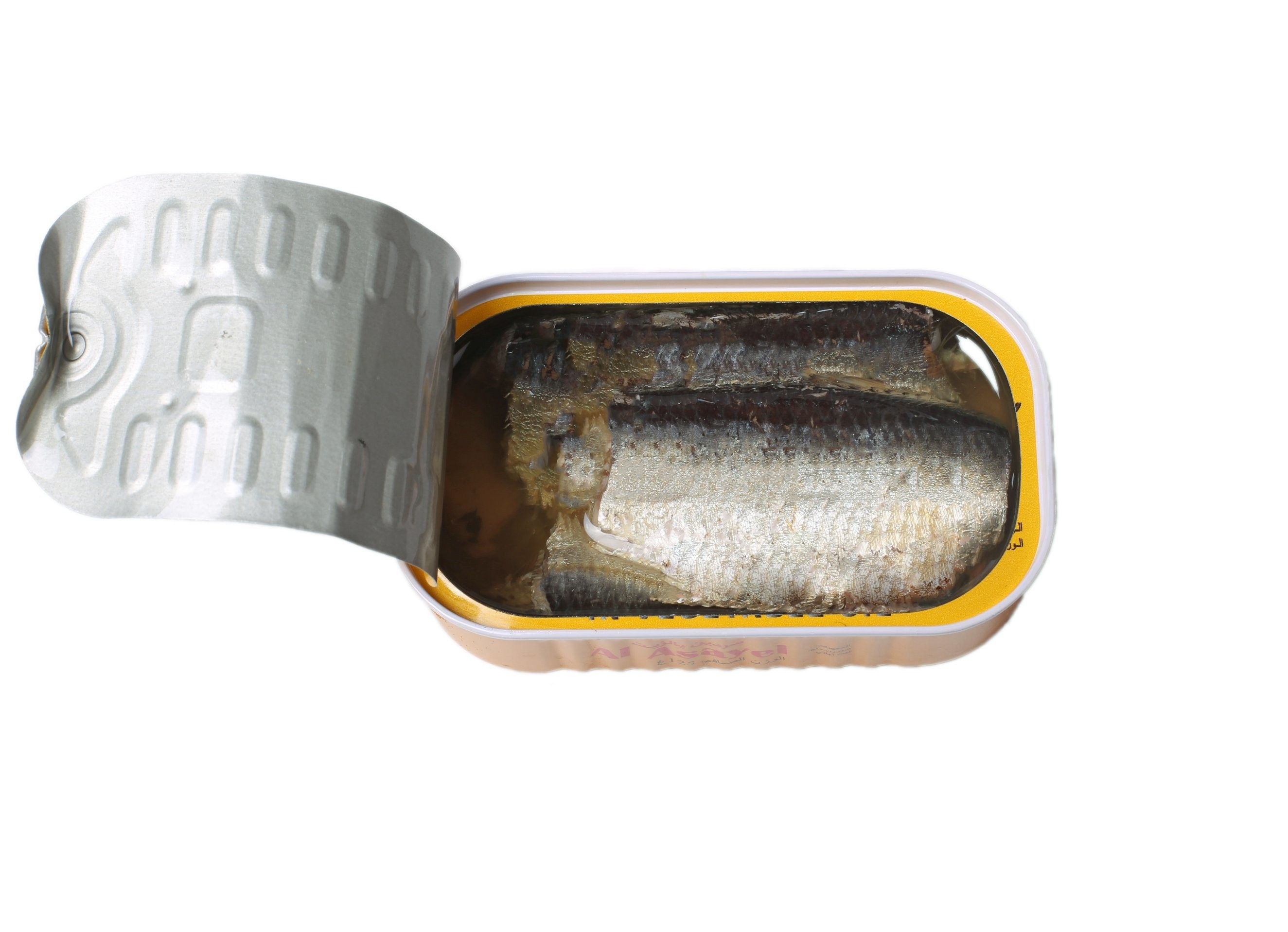 Sardine Canned in Vegetable Oil Source From China