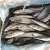 Import Sea Frozen Whole Round Pacific Mackerel fish on sales frozen seafood canned food from China