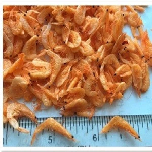 Seafood Supplier Natural Sun Dried Shrimp Wholesale