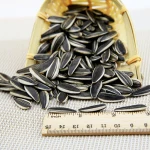 sell Inner mongolia non-gom sunflower seeds5009 for human consumption