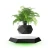Import Set your plants free HCNT magnetic levitation bonsai hexagon houseplant pot from China