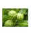 Import Slimming tea Noni Fruit cuts for sale from China