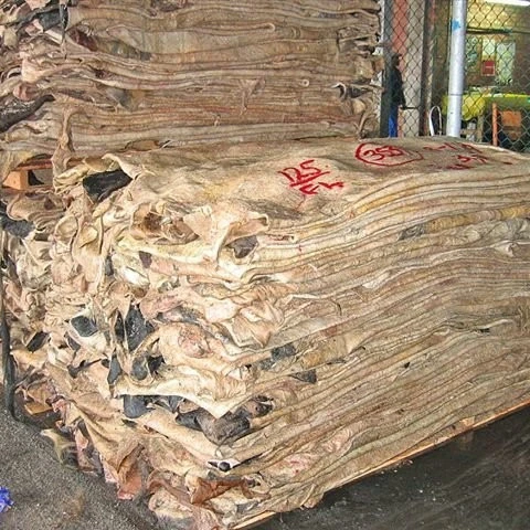 South Africa Factory WET Salted COW HIDES
