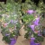Stackable Strawberry Herb Flower Vegetable Planter Balcony kitchen Succulent Pots Home Garden Decoration