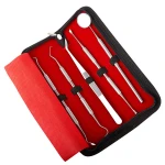 Stainless Steel Dental Hygiene Kit 5pcs dental instruments for oral care
