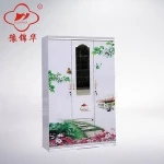 steel printing cabinet and steel wardrobe