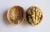 Import Supply with Chinese Whole Walnuts in Thin Shell with Different Sizes for Sales from China