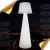 Import SX-20053-FL Remote Control LED Standing Floor Lamp / Remote Control LED Floor Lamp / WIFI Control LED Floor Lamp from China