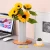 Import Tabletex Wholesale New Design Sunflowers PVC Waterproof Anti Slip Cup Mat Coaster,Cup Mats from China