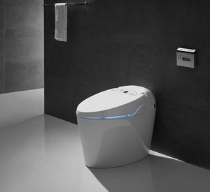 Tankless Water Saving Electric Bathroom Automatic Toilet Bowl ZJZ1200