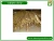 Import tannery machine blade request high quality brass strip and copper strip from China