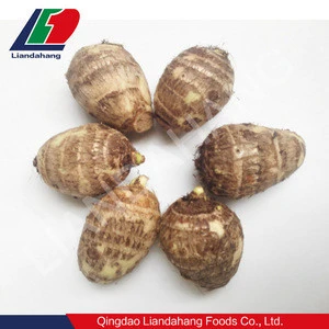 Taro For Sale, Chinese Cost of Fresh Taro for UK Market Sale