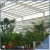 Import Top grade 10years quality agricultural greenhouse morocco from China