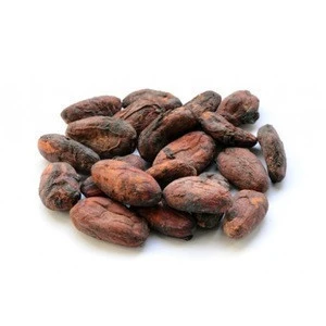 Top Grade  Cocoa Cacao Chocolate bean Dried cacao Beans