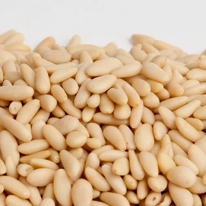 Top Grade Pine Nuts Available for Sale
