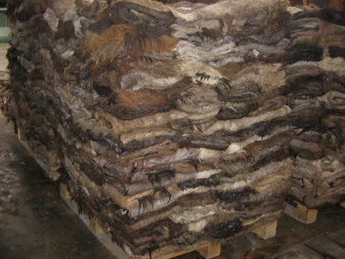 top quality best Wet Salted Donkey Hides/ Cow Hides/Sheep / Goat Skin