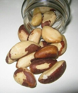 Top Quality Brazil Nut