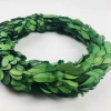 Traditional 25cm diameter preserved boxwood wreath  for Christmas decoration