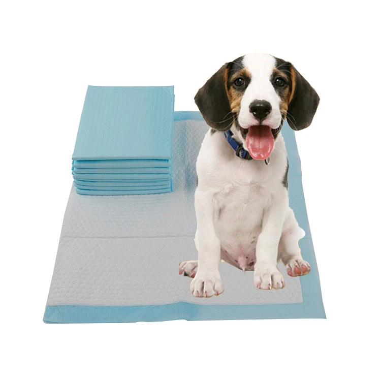Training Clean Pet Supplies Easy Use Economic Biodegradable Pet Training Pee Pads Dog Urine Pads With Adhesive