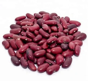 USA Quality Dark Red Kidney Bean /Dried Kidney Beans...