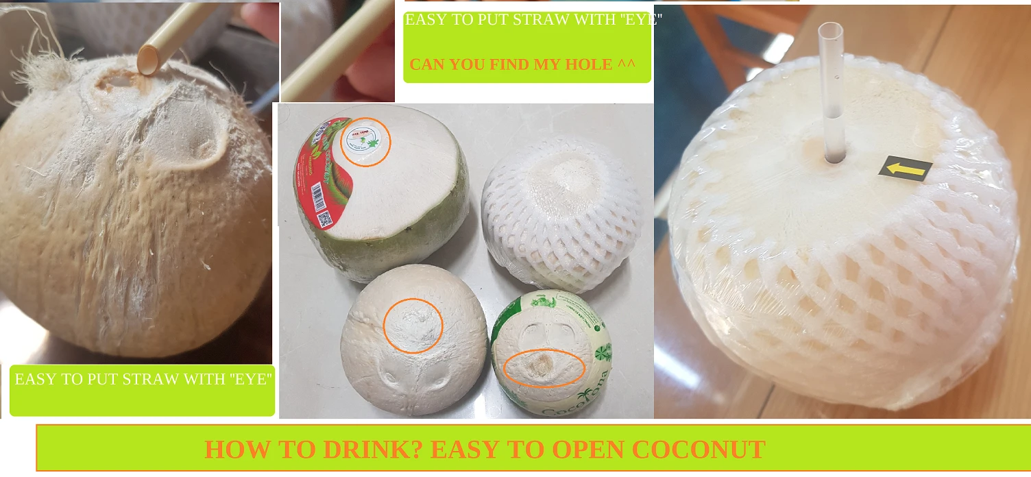VIETNAM FRESH YOUNG COCONUT best price - Easy to open coconut from Mekong delta