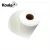 Import Waterproof Dye Sublimation Transfer Paper Rolls, KQY 100g Heat Transfer paper roll from China